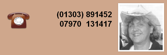 (01303) 891452
07970  131417 
